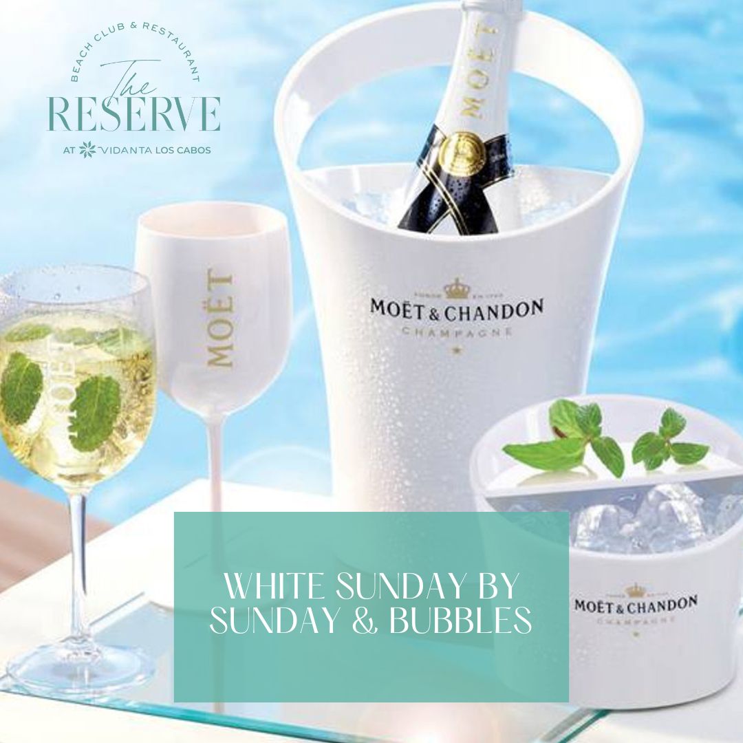 Bubble Sunday at The Reserve Beach Club Vidanta Los Cabos